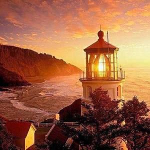 Meet your Posher, Timothy james